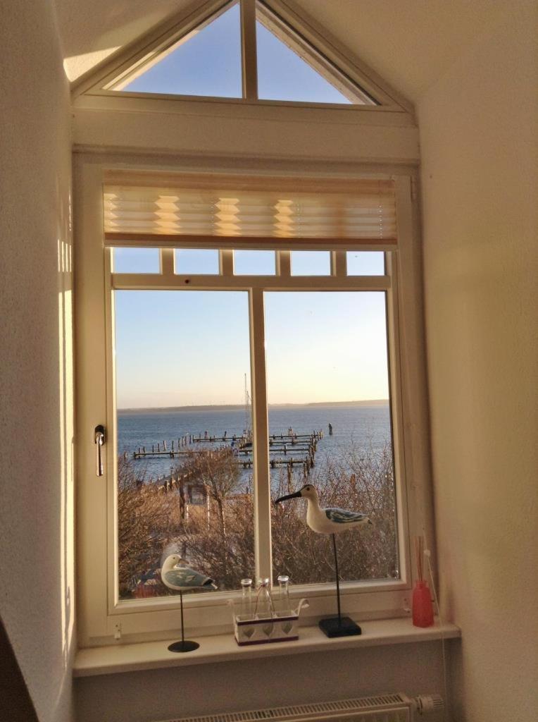 Fewo 27 Strandnahe Ferienwohnung Marlyn ريريك المظهر الخارجي الصورة