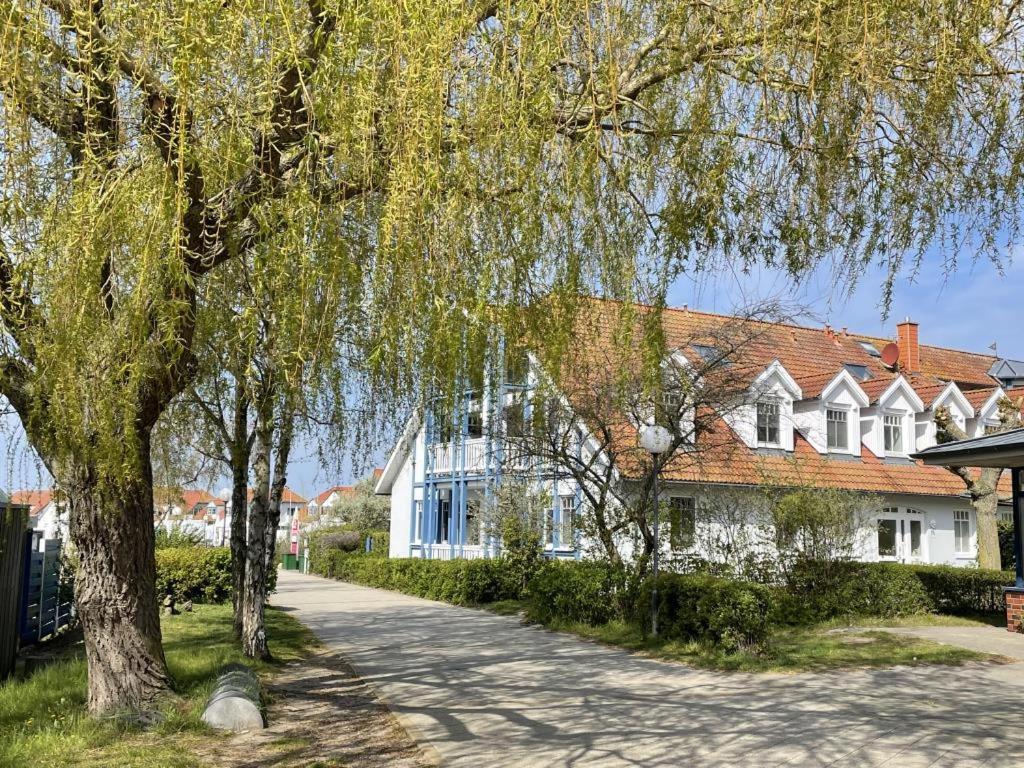Fewo 27 Strandnahe Ferienwohnung Marlyn ريريك المظهر الخارجي الصورة